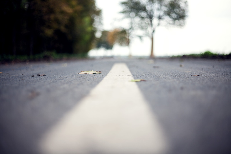 dividing line, 4K, white line, symbol, travel, concrete, city, closeup, surface level, middle, plant part, transportation, road marking, change, the way forward