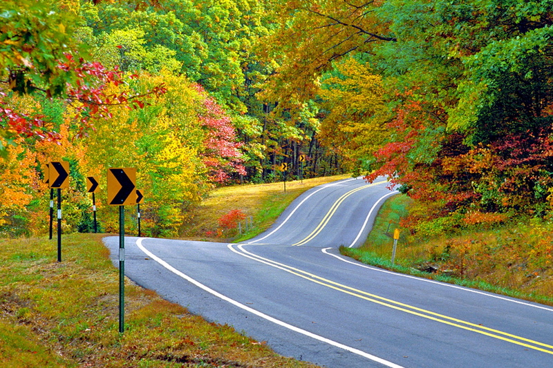 scenics - nature, nature, marking, fall screensavers backgrounds, guidance, road marking, autumn, tranquil scene, plant, no people, road sign, sign, tranquility