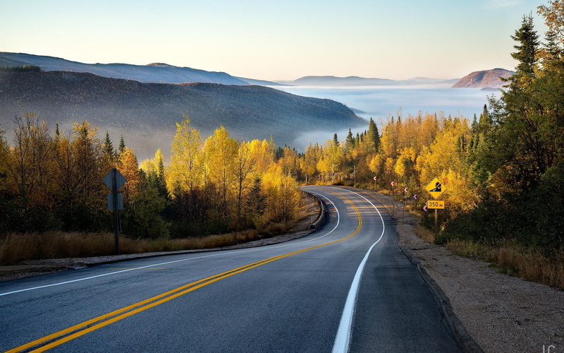 the way forward, tree, scenics - nature, transportation, outdoors, sign, symbol, sky, road, road marking, change, dividing line, landscape, nature, double yellow line