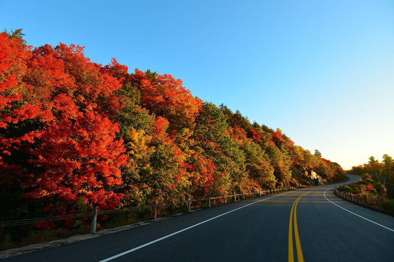 no People, nature, mountain, tranquility, road marking, color Image, change, rural Scene, season, orange Color, tree, journey, symbol, landscape, outdoors