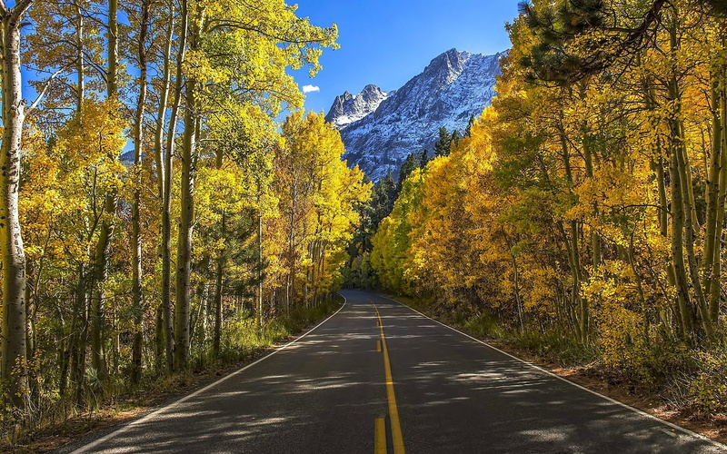 tranquil scene, 1080P, mountain range, diminishing perspective, no people, the way forward, plant, formation, growth, change, road, tree, symbol, nature