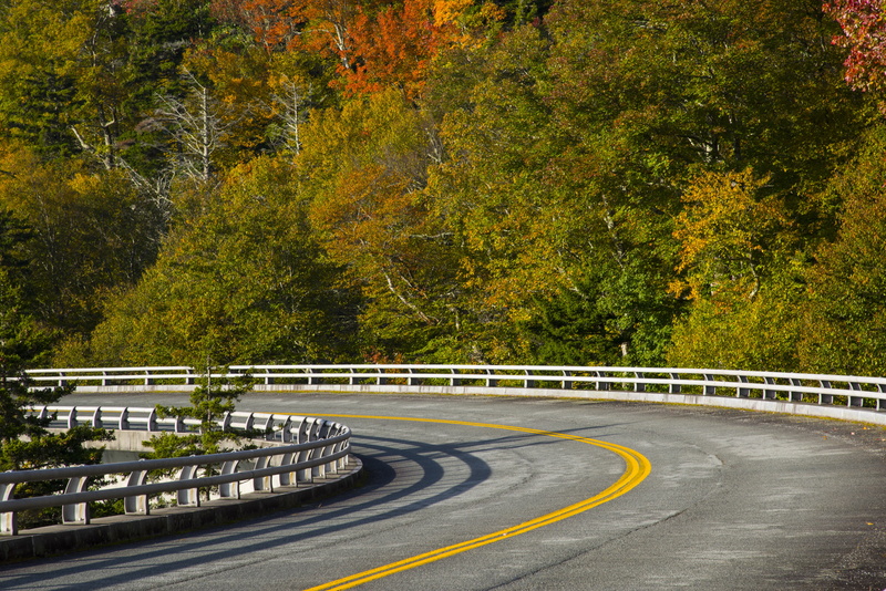 crash barrier, season, street, outdoors, day, linn cove viaduct, tree, asphalt, connection, curve, forest, the way forward, road, landscape, fall leaves