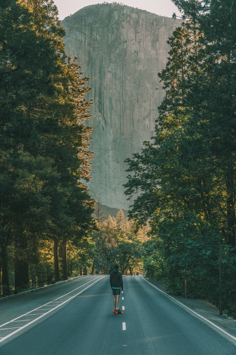 riding, symbol, skating, outdoors, jacket, s, travel, 5K, autumn, marking, full length, tree, trees, men, sign, black, road marking, nature, road, one person