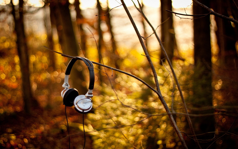 hd, corded, headphones, 2K, music, gray