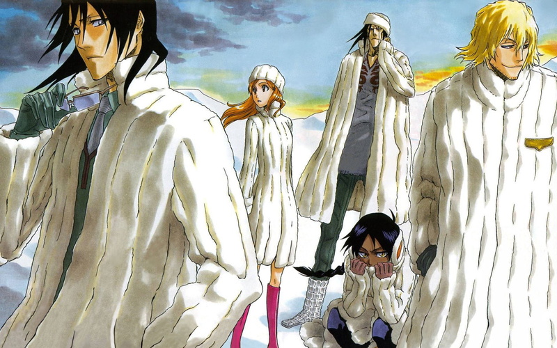 front view, people, women, females, portrait, celebration, leisure activity, clothing, Orihime Inoue, day, Byakuya Kuchiki, looking at camera, Yoruichi Shihôin