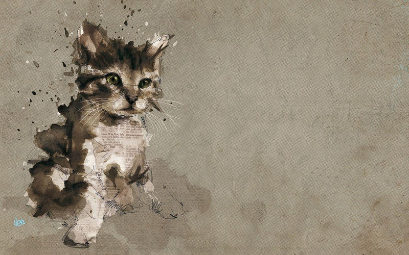 paper, digital art, vertebrate, no people, portrait, fun, cat, domestic, whisker, mammal, illustration, brown, animal themes, paint splatter, 1080P, sitting