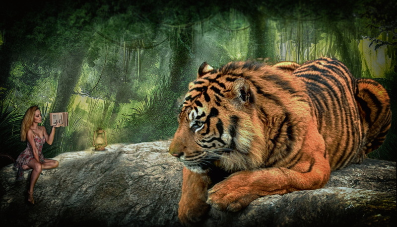girl, sitting, tiger, feline, animals in the wild, painting, animal, nature, lying down, fairytale, mood, danger, read, woman, big cat, carnivore, 2K