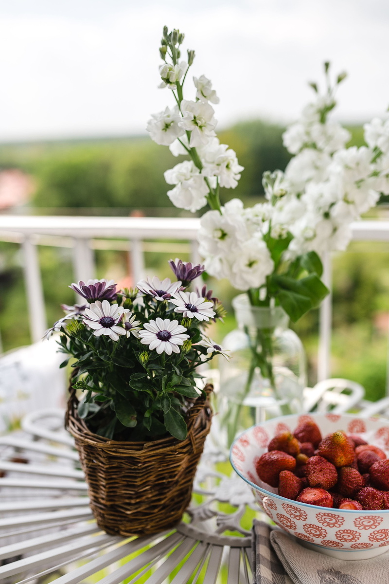 decor, fragility, basket, rural, cottage, garden, resting, style, flower arrangement, container, no People, Balcony, Country-style, cozy, countryside, outdoors
