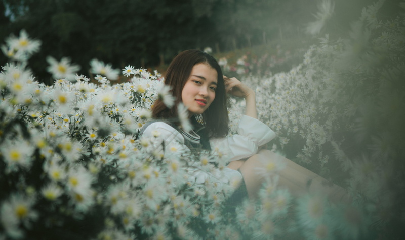 plant, warm clothing, petal, ho tay, blossom, daisies, flowering plant, hair, person, clothing, one person, viet nam, women, contemplation, nature, 5K