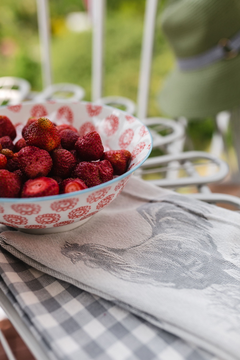 still life, raspberry, paper, cozy, Country-style, kitchen utensil, 2K, organic, decor, red, garden, tablecloth, resting, selective focus, countryside