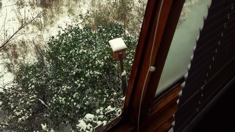 balcony, Russia, nests, 1080P, snow