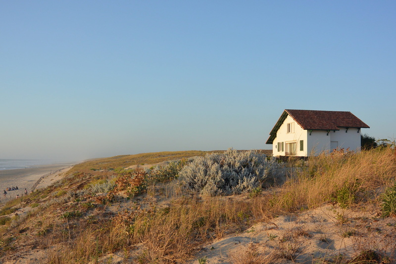 building exterior, nature, day, landscape, environment, view, sand, beach, 4K, france, architecture, mimizan, mood, grass, tranquility, clear sky, sea