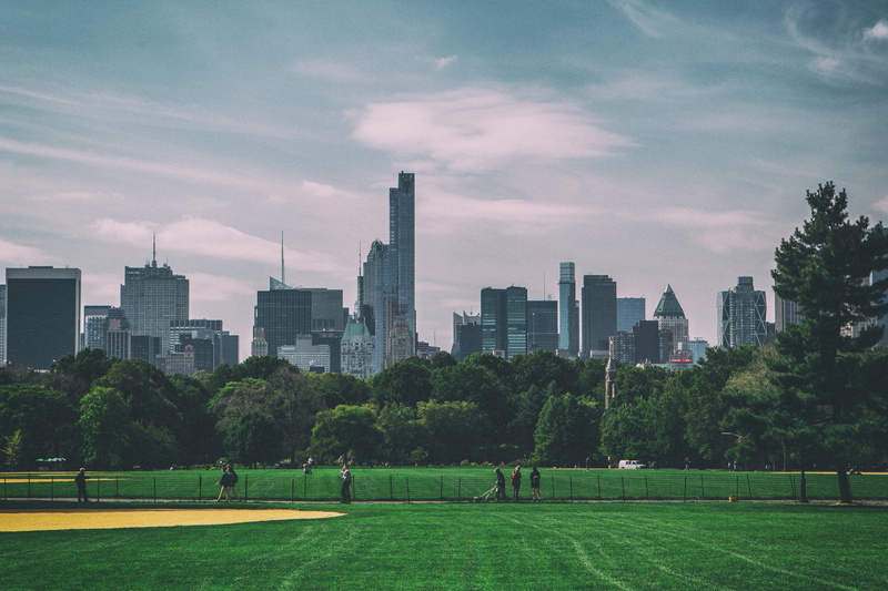 tree, New York City, building, 4K, cityscape, shot, urban Scene, central, uSA, architecture, nature, city, grass, urban, Wide-angle, new, tall - high