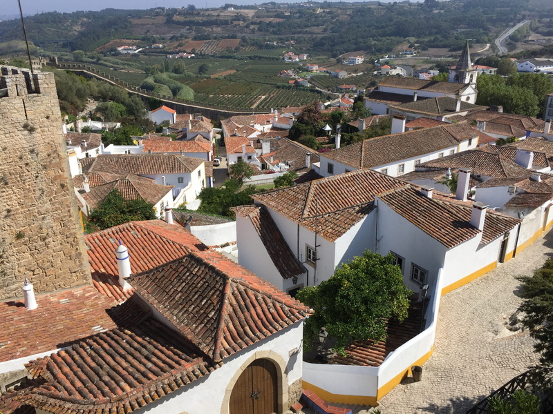 city, plant, townscape, village of obidos portugal, day, sunlight, roof, no people, obidos seen from the castle, architecture, town, obidos portugal, nature