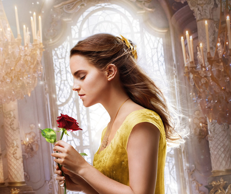 adult, romance, 5K, side view, Belle, beauty, hairstyle, glass, holding, plant, women, flower, young women, long hair, Beauty and the Beast, indoors, Emma Watson
