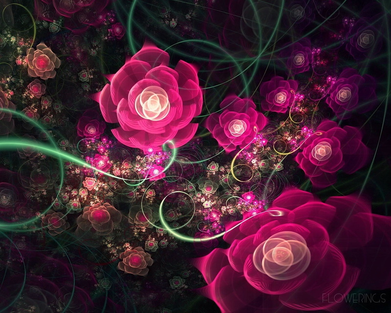 swirl, art, space, fantasy, shiny, flowers, surrealism, science, bright, nebula, abstract, red, rose, abstraction, threaded, backdrop, decoration, flower head