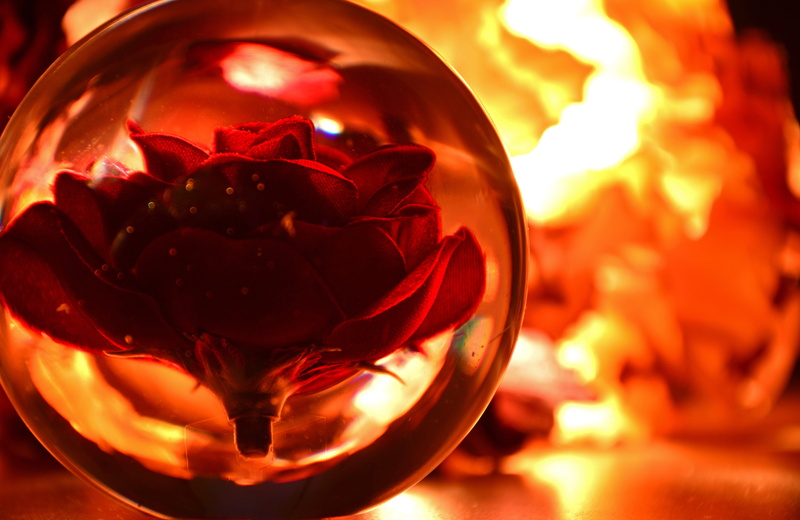 beauty in nature, reflections, glass ball, mystery, flower, filled, inferno, magic bullet, magic, red, mood, heat - temperature, glass, creativity, lighting