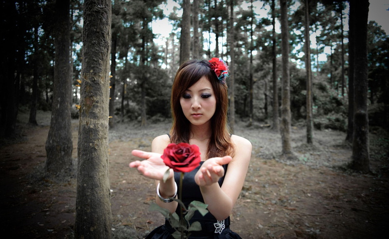 holding, long hair, flower, young adult, 2K, beauty, Magic, beautiful woman, nature, land, Girls, plant, rose, women, hairstyle, outdoors, forest, one person