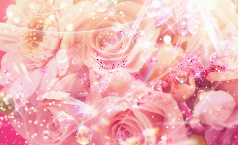 pink, no people, flowering plant, Magic, beauty in nature, vulnerability, full frame, backgrounds, 1080P, plant, rose, Nature, outdoors, luxury, bouquet