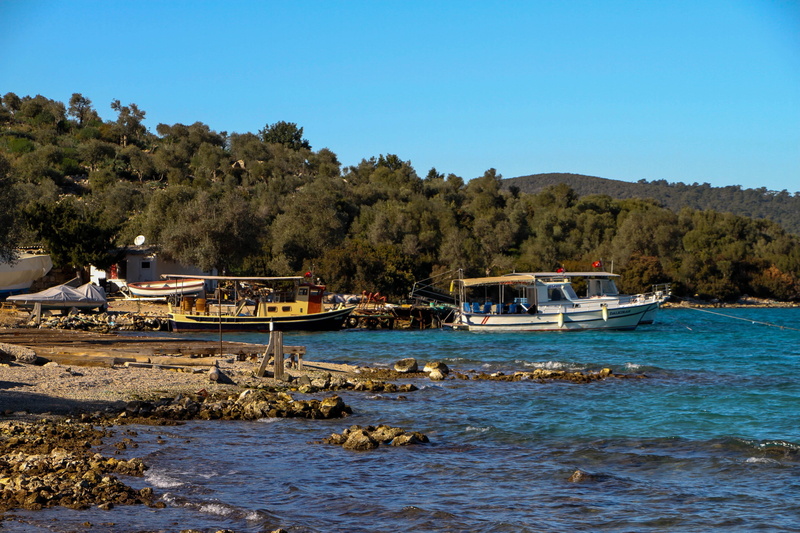 green, river, sky, plant, bodrum, clear sky, day, water, nature, outdoors, marine, 2K, forest, landscape, beauty in nature, blue, nautical vessel, transportation