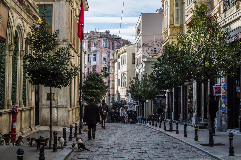 city life, plant, built structure, nature, the way forward, footpath, hdr, istanbul, architecture, tree, street, building, direction, building exterior