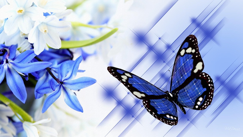firefox persona, blue, 3d and abstract, floral, nature, blues, lilies, flowers, 1080P, butterfly, baby