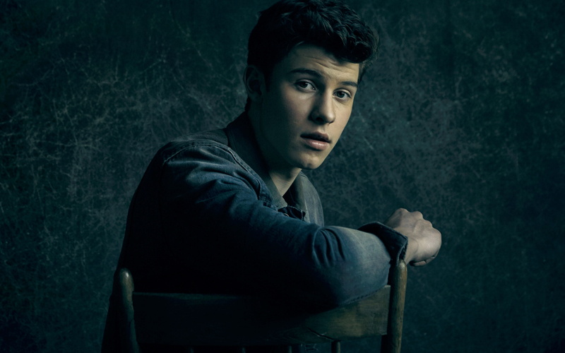 4K, songwriter, chair, contemplation, dress, three quarter length, indoors, hairstyle, young adult, singer, young men, shawn, one person, seat, sitting