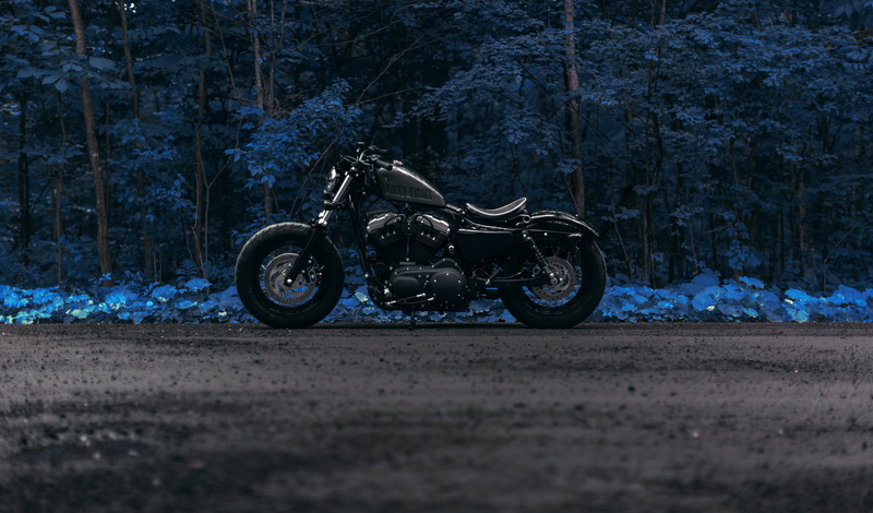nature, side view, motorcycle, 1080P, Harley Forty Eight, forest, day, outdoors, travel, plant, winter, transportation, mode of transportation, road, street
