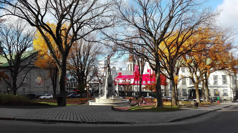 sky, plant, city centre, treelined, city, québec, the way forward, tree, Old Quebec, fall, transportation, garden, building, change, history, landscape