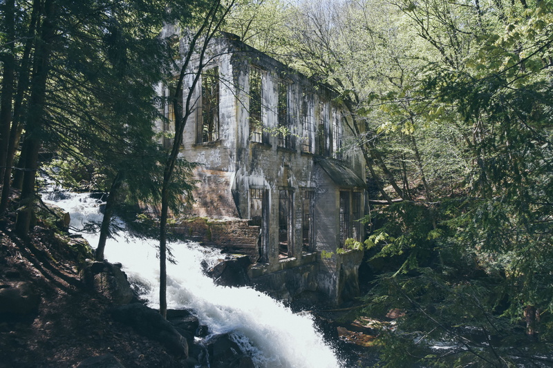 motion, plant, rainforest, old house, land, environment, long exposure, outdoors, tree, quebec, tranquility, beauty in nature, 5K, flowing water, no people