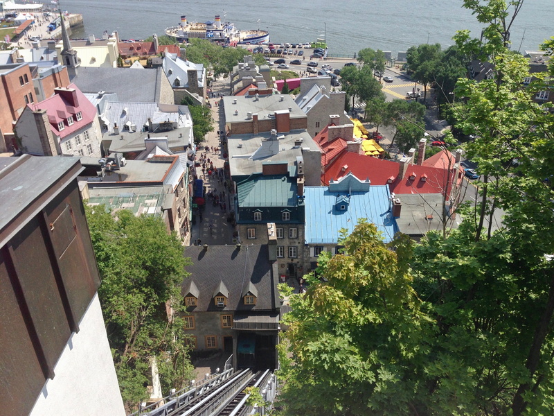 plant, townscape, city, no people, tree, outdoors, water, house, funicular, day, old town, river, port, built structure, town, boat, houses, high angle view