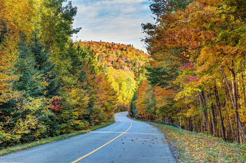 Quebec, forest, La Mauricie National Park, road, Canada, autumn, 1080P, trees, QC, The national Park of La Mauricie