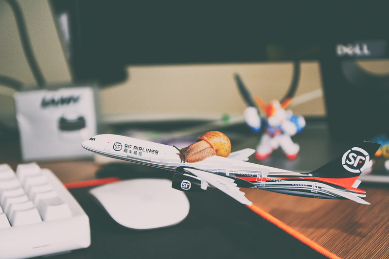 top, sunlight, text, paperwork, plastic, day, close-up, mouse, computer, desktop, Snail, red, business, toy, communication, airliners, plan, art and craft