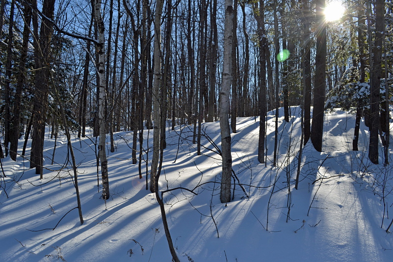 non-urban scene, covering, 4K, snow, no people, winter, scenics - nature, tranquility, tranquil scene, cold temperature, qc, chelsea, nature, beauty in nature