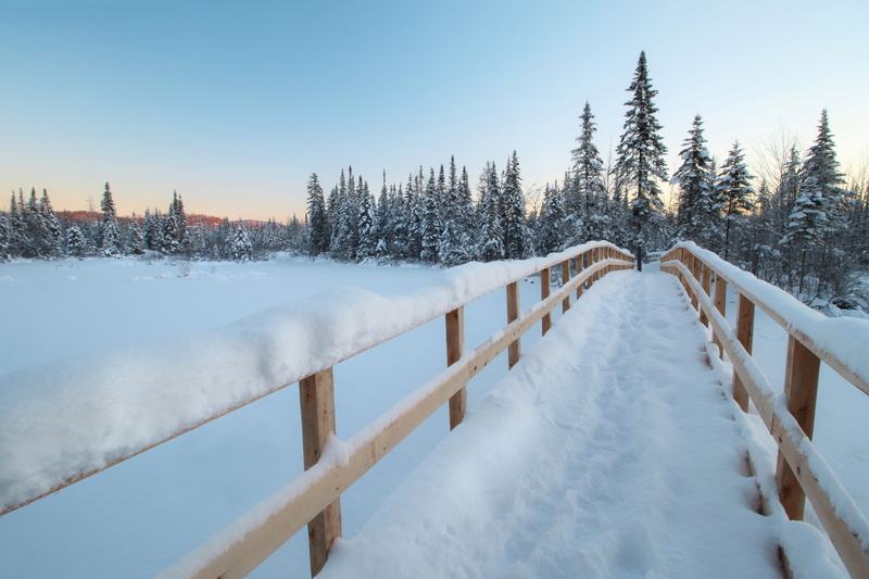 ate, winter, Marshes of the North, forest, QC, bridge, snow, 4K, Canada, Quebec
