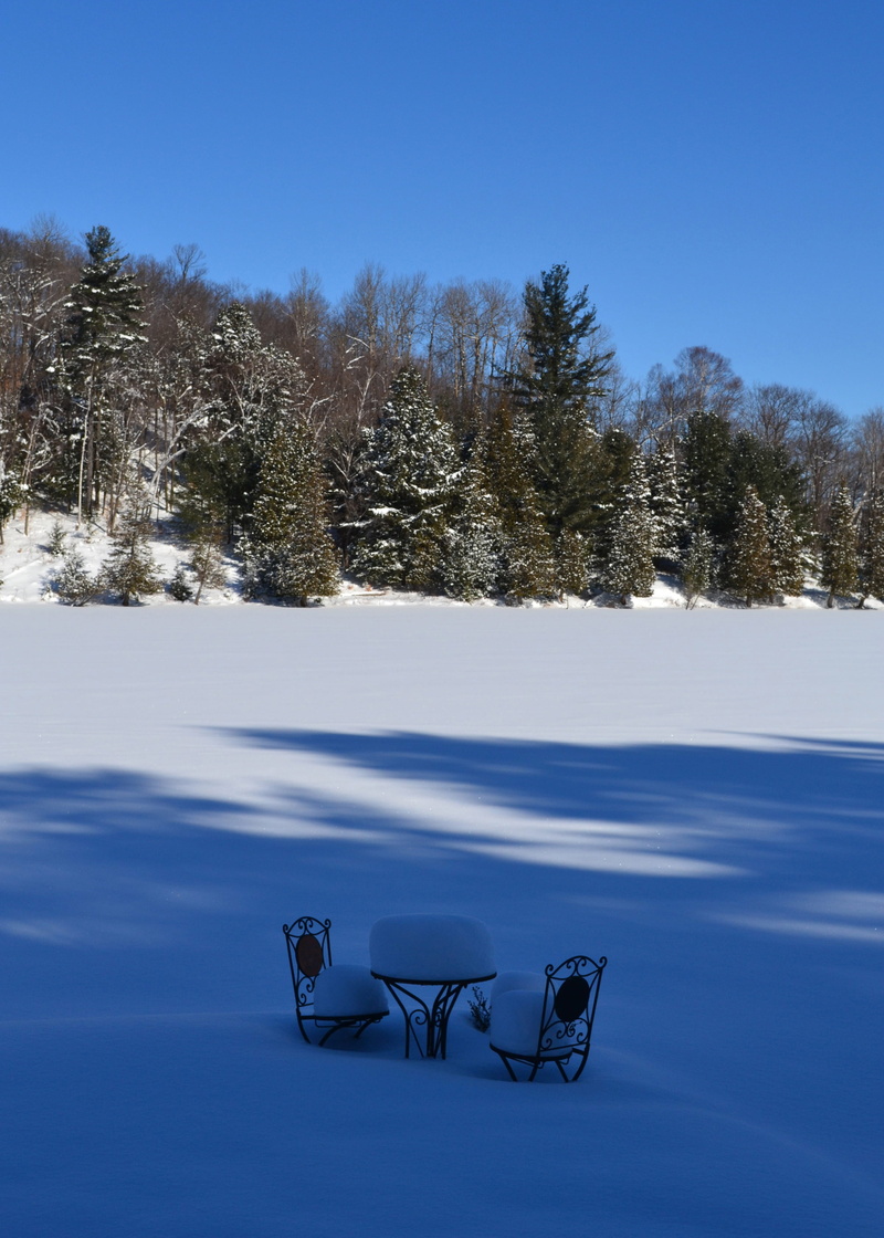 sunlight, 4K, qc, winter, snow, non-urban scene, tranquility, scenics - nature, sky, plant, beauty in nature, no people, day, canada, outdoors, field