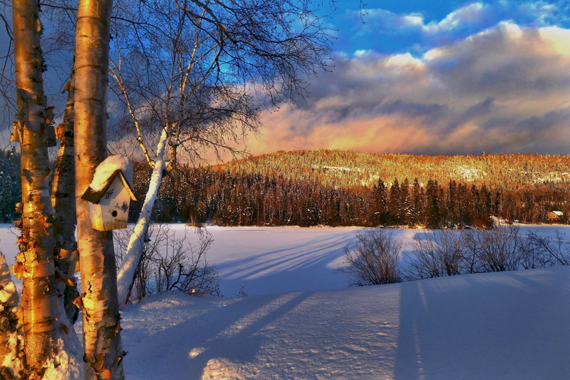 QC, Canada, sunset, 2K, forest, Alain Audet, hill, nature, trees, birdhouse, snow, shadows, winter, landscape