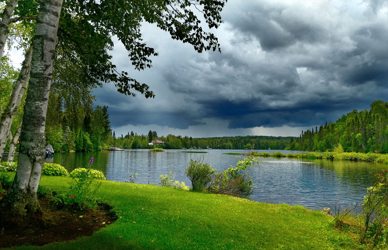 lake, clouds, Bank, trees, forest, Alain Audet, nature, birch, QC, landscape, Canada, 2K