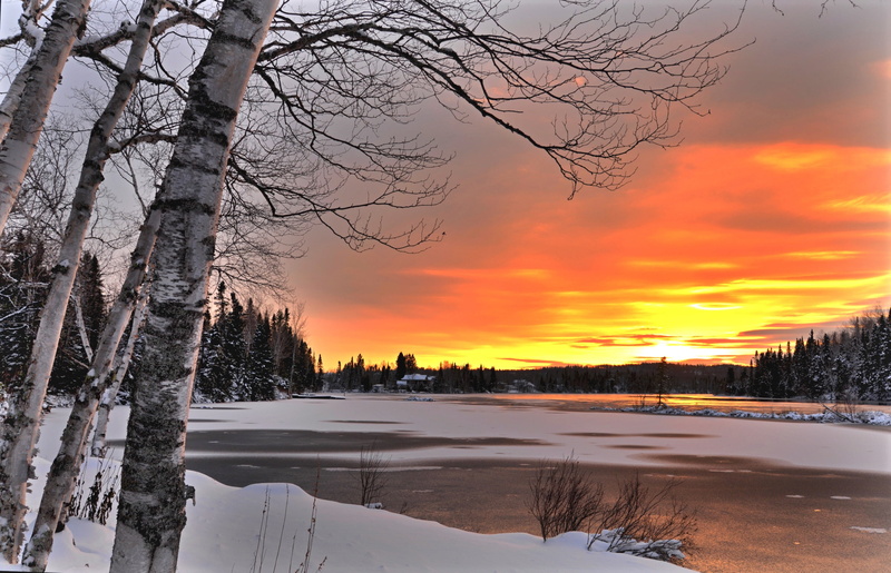 sunset, trees, landscape, QC, nature, 2K, lake, forest, birch, Bank, Canada, winter, Alain Audet