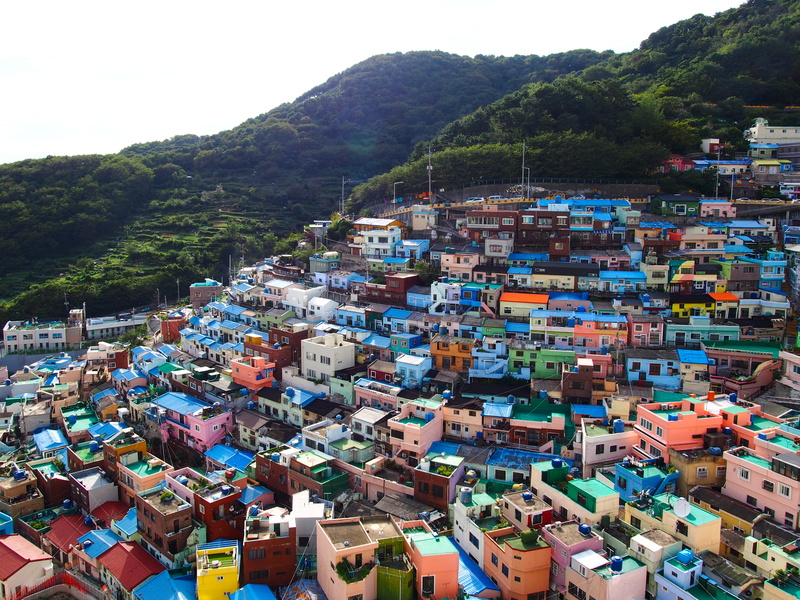 slum, settlement, downtown, photography, nature, day, residential district, transportation, plant, outdoors, urban, vehicle, 4K, harbor, architecture