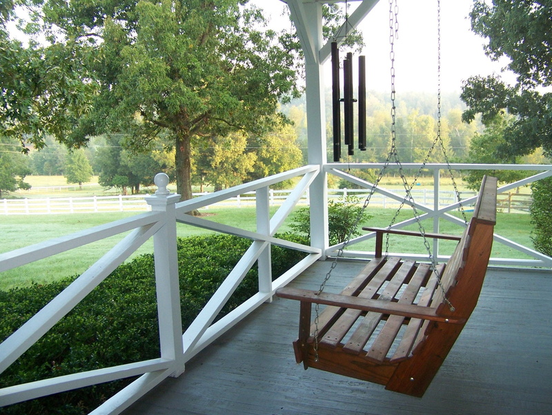 seat, empty, outdoors, Swing, park, wood - material, water, plant, day, tranquility, scenics - nature, absence, tree, Chimes, growth, architecture, no people