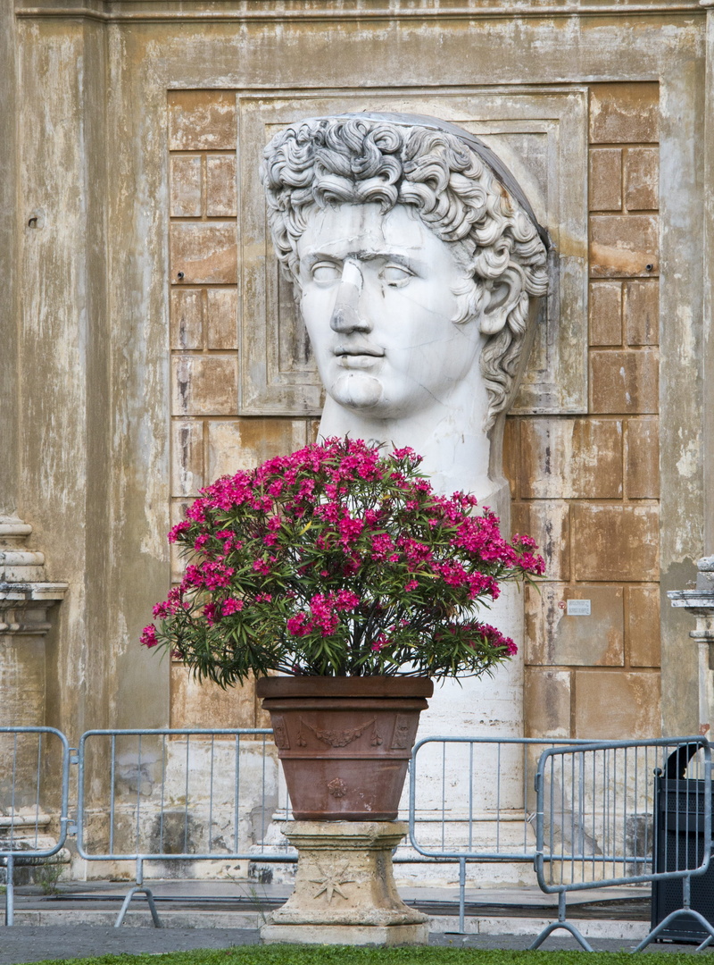 italian, christianity, building exterior, saint, religion, no people, dome, sculpture, europe, cityscape, pope, flower, architecture, pietro, church, travel