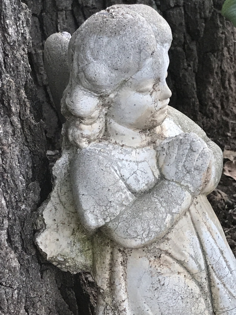 head, 4K, statuary, representation, craft, praying, history, cherub, profile, stone material, spiritual, angel wings, memorial, outdoors, art and craft