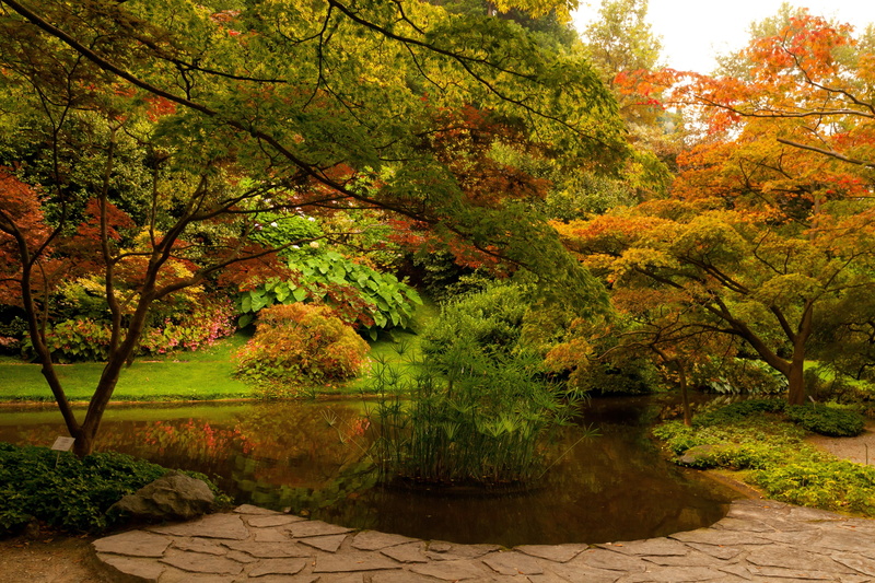 4K, Italy, Bellagio., Park, bellagio, trees, shrubs, flowers