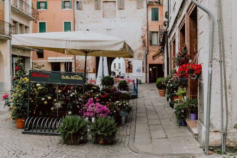castelfranco veneto, flower, flower shop, nature, blooming, city, footpath, castelfranco, building exterior, flowering plant, communication, plant, residential district