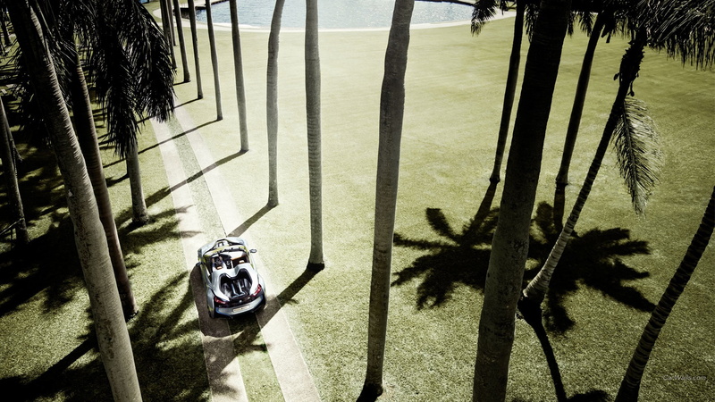 tree, tree trunk, black, day, golf, sea, club, beach, outdoors, car, BMW, water, 1080P, high angle view, vehicle, shadow, palm trees, BMW i8, transportation