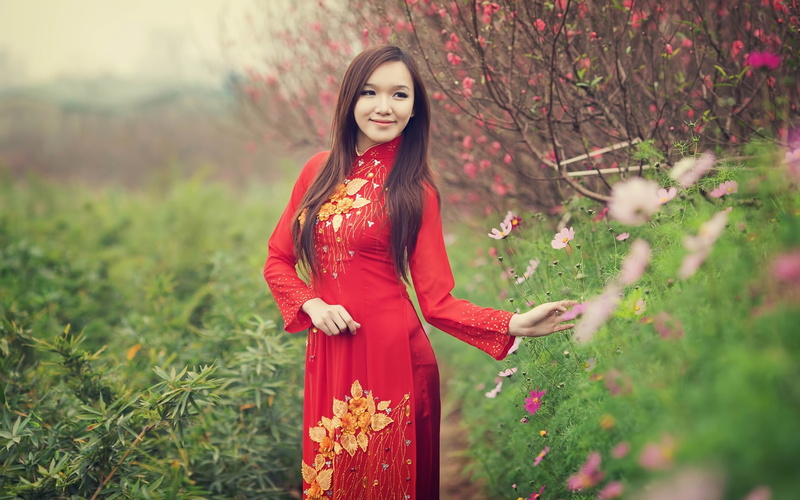 fields, dai, hd, nature, Viet Nam, depth, field, viet, x, nam, 1080P, art, ao, ao dai