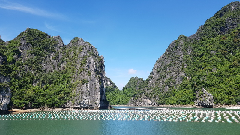 river, tranquil scene, van don, no people, formation, 4K, mountain, water, nature, quang ninh, tree, tranquility, waterfront, plant, viet nam, beauty in nature
