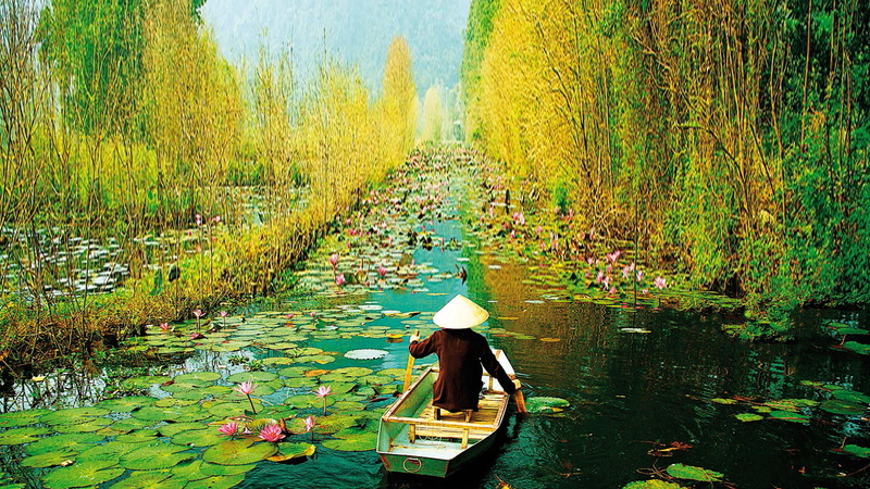 huong, noi, 1080P, vietnam, ha, yen, stream, hanoi, way, autumn, hd, pagoda