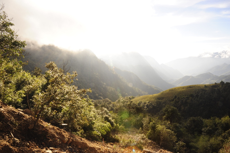 vietnam, no people, sunlight, scenics - nature, tranquility, tranquil scene, tree, mountain, remote, plant, growth, 2K, sky, cloud - sky, land, environment
